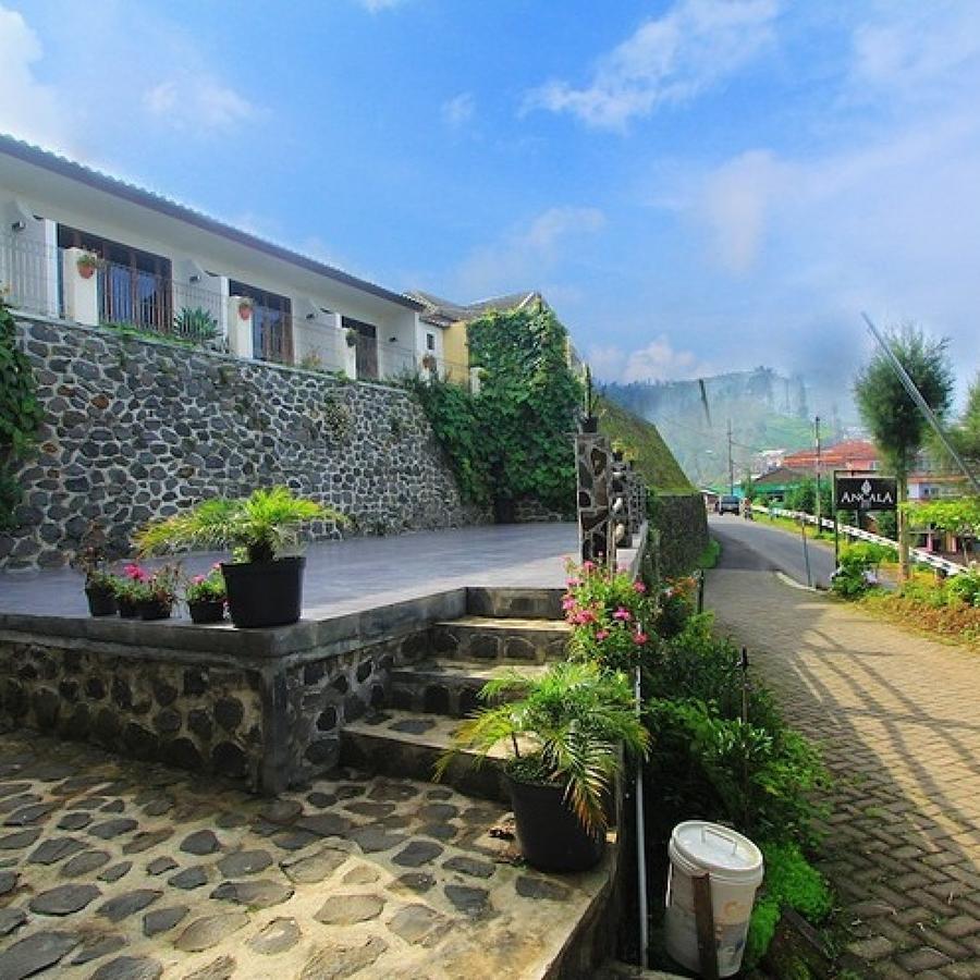 Ancala Inn Bromo Pasuruan Exterior foto